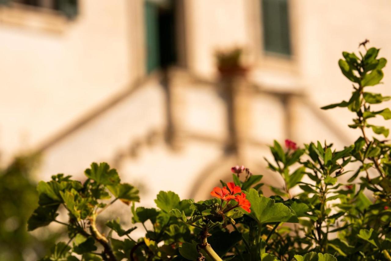 Latiano Villa Encantamiento - Dimora Gelsomino - Masseria Storica Nel Cuore Della Puglia Con Piscina מראה חיצוני תמונה